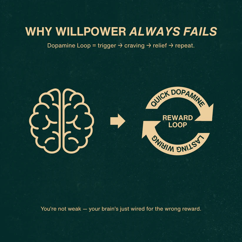 The Effortless Escape - Quit Porn Without Willpower